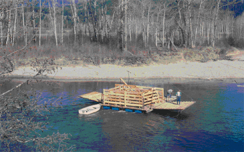 Blue Goose on the River